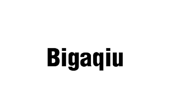 美国商标：Bigaqiu