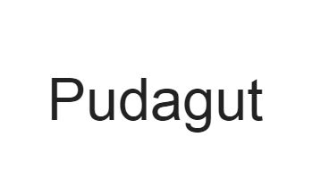 美国商标9类：Pudagut