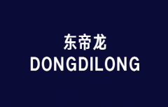 <b>11类  东帝龙DONGDILONG</b>