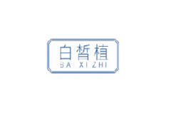 <b>3类  白皙植BAIXIZHI</b>