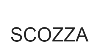 美国商标10类：SCOZZA