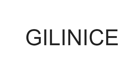 美国商标27类：GILINICE